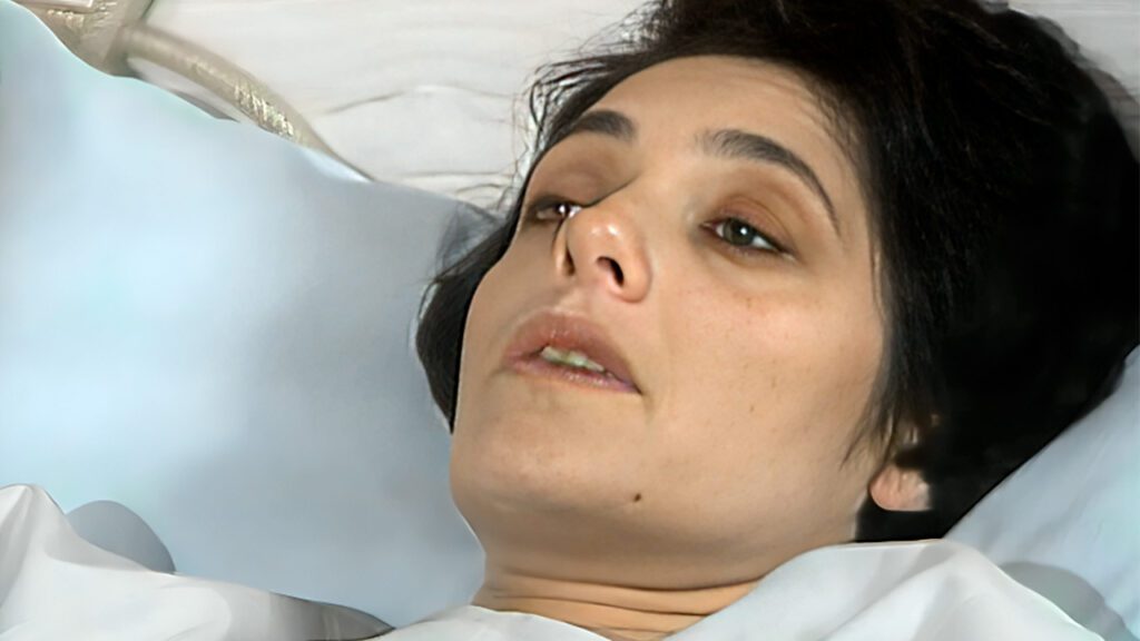 Christiane Torloni em A Viagem